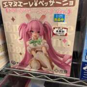 ヒメ日記 2025/02/03 17:00 投稿 マリン バニーコレクション千葉栄町店