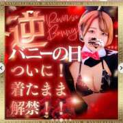 ヒメ日記 2025/03/29 07:15 投稿 マリン バニーコレクション千葉栄町店