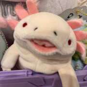 ヒメ日記 2025/04/11 07:02 投稿 マリン バニーコレクション千葉栄町店