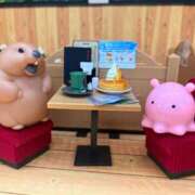 ヒメ日記 2025/04/23 07:01 投稿 マリン バニーコレクション千葉栄町店