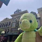 ヒメ日記 2025/05/24 07:01 投稿 マリン バニーコレクション千葉栄町店