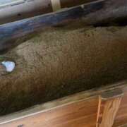 ヒメ日記 2025/11/19 15:46 投稿 マリン バニーコレクション千葉栄町店