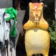 ヒメ日記 2025/12/17 11:57 投稿 マリン バニーコレクション千葉栄町店