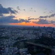 マリン お詫び日記🙇‍♀️ バニーコレクション千葉栄町店