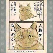 ヒメ日記 2025/04/19 18:12 投稿 みみ Charme（シャルム）