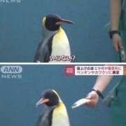 ヒメ日記 2025/04/25 16:16 投稿 みみ Charme（シャルム）