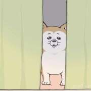 ヒメ日記 2025/05/16 22:02 投稿 みみ Charme（シャルム）