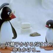 ヒメ日記 2025/06/20 17:35 投稿 みみ Charme（シャルム）