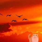 ヒメ日記 2025/08/28 16:54 投稿 みみ Charme（シャルム）