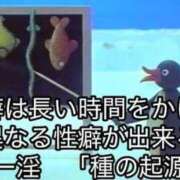 ヒメ日記 2025/09/18 16:42 投稿 みみ Charme（シャルム）