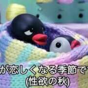 ヒメ日記 2025/09/30 19:21 投稿 みみ Charme（シャルム）