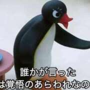 ヒメ日記 2025/10/14 16:11 投稿 みみ Charme（シャルム）