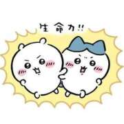 ヒメ日記 2025/10/29 17:02 投稿 みみ Charme（シャルム）