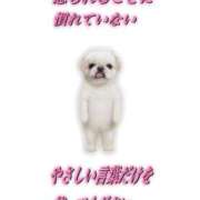 ヒメ日記 2025/12/05 15:22 投稿 みみ Charme（シャルム）