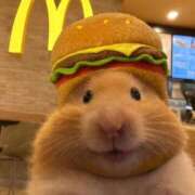 ヒメ日記 2025/12/20 15:52 投稿 みみ Charme（シャルム）