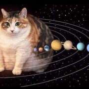 ヒメ日記 2026/01/16 19:52 投稿 みみ Charme（シャルム）