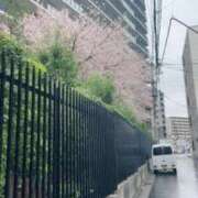 ヒメ日記 2026/03/31 15:45 投稿 みみ Charme（シャルム）