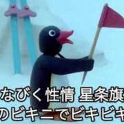 ヒメ日記 2026/04/03 14:52 投稿 みみ Charme（シャルム）