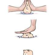 ヒメ日記 2026/04/16 20:12 投稿 みみ Charme（シャルム）