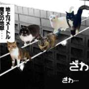 ヒメ日記 2026/08/14 19:52 投稿 みみ Charme（シャルム）