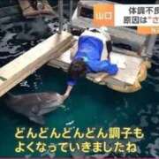 ヒメ日記 2026/09/01 23:42 投稿 みみ Charme（シャルム）