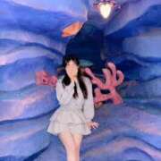 ヒメ日記 2026/03/15 12:52 投稿 あかね スピード梅田店