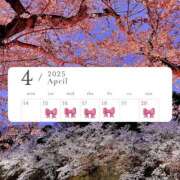 ヒメ日記 2025/04/12 12:16 投稿 ヒビキ マテリアル