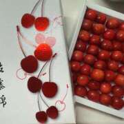 ヒメ日記 2025/06/29 10:16 投稿 ヒビキ マテリアル