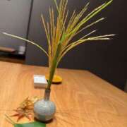 ヒメ日記 2025/10/11 06:01 投稿 ヒビキ マテリアル