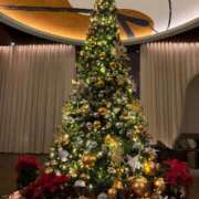 ヒメ日記 2025/12/24 21:46 投稿 ヒビキ マテリアル