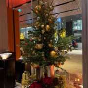 ヒメ日記 2025/12/25 12:01 投稿 ヒビキ マテリアル