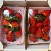 ヒメ日記 2025/12/28 00:31 投稿 ヒビキ マテリアル