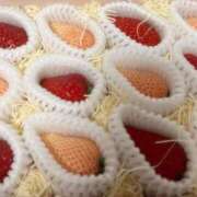 ヒメ日記 2026/03/22 18:31 投稿 ヒビキ マテリアル