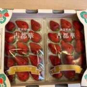 ヒメ日記 2026/03/22 22:31 投稿 ヒビキ マテリアル