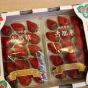 ヒメ日記 2026/03/26 21:01 投稿 ヒビキ マテリアル