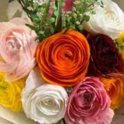 ヒメ日記 2026/03/27 10:01 投稿 ヒビキ マテリアル