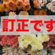 ヒメ日記 2026/04/06 08:31 投稿 ヒビキ マテリアル