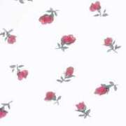 ヒメ日記 2026/04/09 18:01 投稿 ヒビキ マテリアル