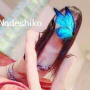 ヒメ日記 2025/06/24 08:24 投稿 なでしこ LOVEキタ兎我野店