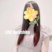 ヒメ日記 2025/09/28 08:12 投稿 なでしこ LOVEキタ兎我野店