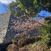 ヒメ日記 2026/02/28 19:13 投稿 なでしこ LOVEキタ兎我野店