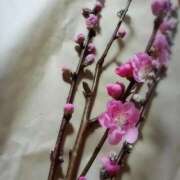 そら レア出勤します♡ 待ちナビ