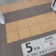 ヒメ日記 2026/03/19 17:50 投稿 そら 待ちナビ