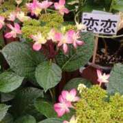 ヒメ日記 2026/05/27 11:13 投稿 そら 待ちナビ