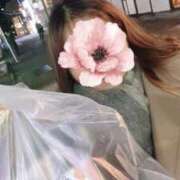 ヒメ日記 2024/12/23 09:51 投稿 いちは 横浜風俗 横浜いきなりビンビン伝説