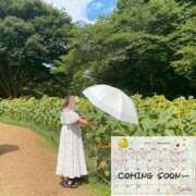 ヒメ日記 2025/08/31 21:48 投稿 いちは 横浜風俗 横浜いきなりビンビン伝説