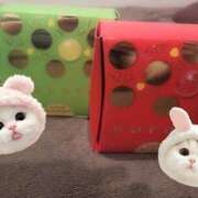 ヒメ日記 2025/01/12 21:32 投稿 セイラ Evolution 2nd