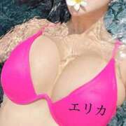 ヒメ日記 2026/03/27 14:13 投稿 エリカ Evolution 2nd