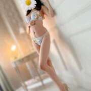 ヒメ日記 2025/01/29 08:18 投稿 みさみさ Evolution 2nd