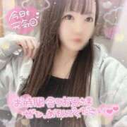 ヒメ日記 2025/02/11 12:06 投稿 はる シャングリラ 呉〜桃源郷〜